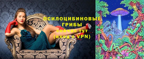 гидропоника Богородицк