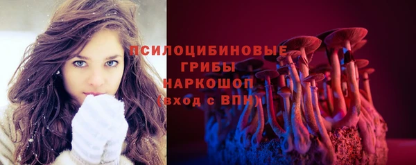 ГАЛЛЮЦИНОГЕННЫЕ ГРИБЫ Верхний Тагил