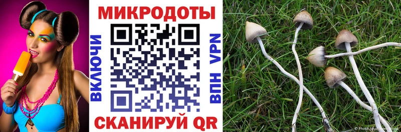 Галлюциногенные грибы прущие грибы  Канск 